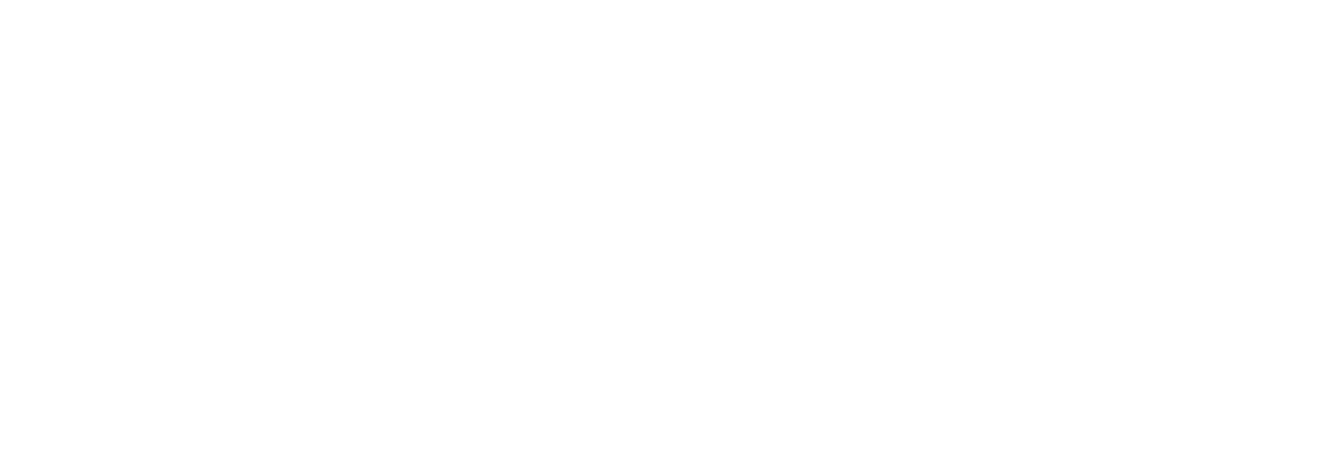 Aciole Marketing Digital